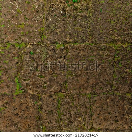Moss overgrown brick wall texture Royalty-Free Stock Photo #2192821419