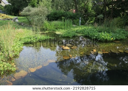 Biotope swimming pool in Ludvikov village in Jeseniky mountains in the Czech Republic. Environmental friendly way for leisure activities in mountains. Water is clean, cold and fresh with plants around Royalty-Free Stock Photo #2192828715