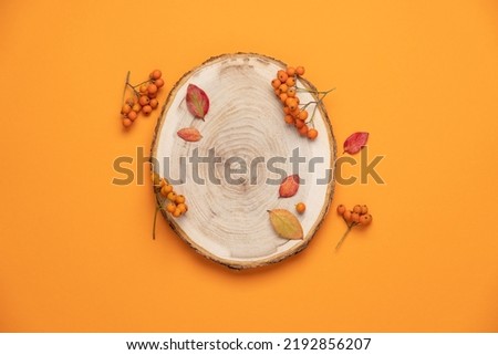 Wood podium saw cut of tree on orange background with  autumn rowan berries and leaves. Top view  showcase, product, promotion sale, presentation, beauty cosmetic. Minimal autumn composition