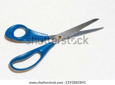 Scissors with blue plastic handle and signs of rust on the joint.

