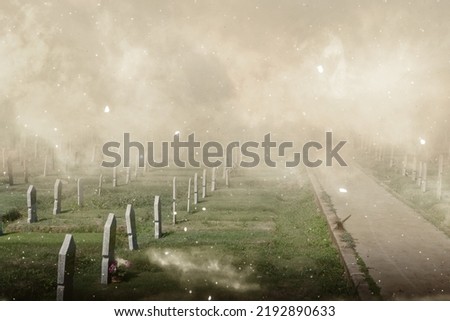 Tombstones on the graveyard with the foggy background. Halloween concept