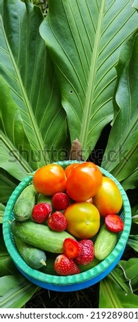 a basket of colorful fruits placed in the midle of the green leaves , the potition of the picture being taken right from above.