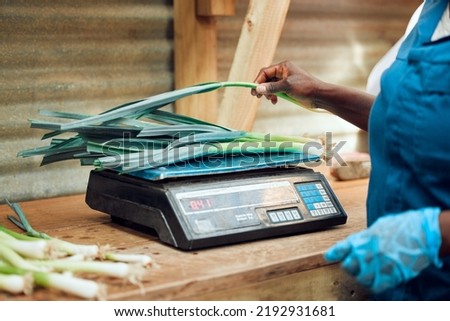 Electronic, digital and retail scale weighing vegetables for customer at food and fruit supermarket. Female grocery store worker checking the cost of health produce with computing price machine. Royalty-Free Stock Photo #2192931681