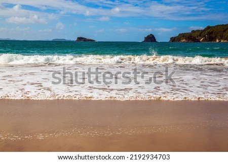 Ocean evening inflow. Seagull jumps on the wet sand. New Zealand, North Island. The road to Cathedral Cove. The concept of active, exotic, ecological and photo tourism