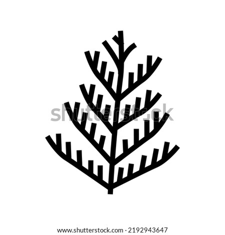 cedar plant leaf glyph icon vector. cedar plant leaf sign. isolated symbol illustration