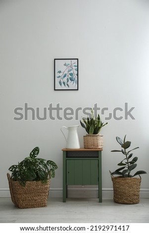 Different tropical plants in wicker pots near white wall at home