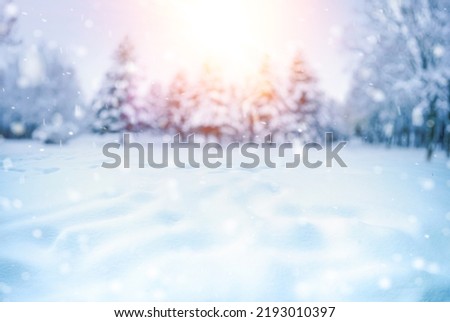Beautiful natural winter defocused blurry background image with forest, snowdrifts and light snowfall in pinkish light of passing day on sunset.