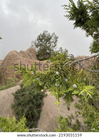 Photos of some parts on South of Saudi Arabia. Albaha Province in the kingdom.