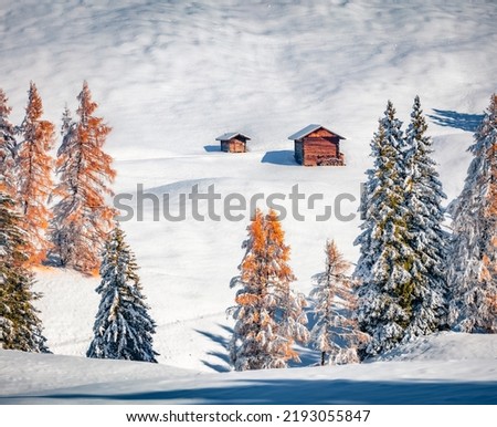 Long foces picture of Alpe di Siusi village. Two wooden chalet on snowy hills in Dolomite Alps. Frosty  outdoor scene of ski resort, Ityaly, Europe. Untouched winter landscape.

