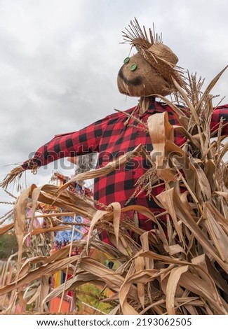 Halloween scarecrow. Scary figure. Traditional Halloween scarecrow costume.