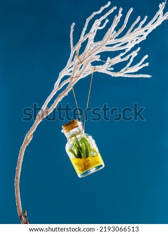 A magical elixir (potion) with herbs with a golden sheen in a small glass bottle. Suspended on a gold chain from a branch of a white, snowy tree. A metaphor for the scent of cut grass. Blue background