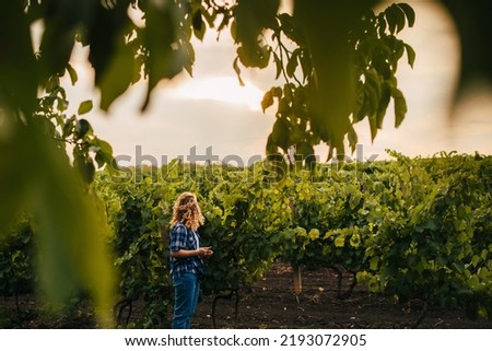Far away view of a farmer using tablet analysing the condition of the vineyards. Smart agriculture vineyard. Data analysis. Farmer field. Copy space. Royalty-Free Stock Photo #2193072905