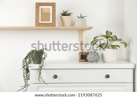 Modern chest of drawers with houseplants near white wall