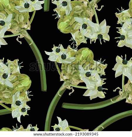 Tropical plant with star-of-Bethlehem, or grass lily (Ornithogalum umbellatum). Flowers and exotic plant. Aquatic plants, Japanese and Chinese illustration. Black background.