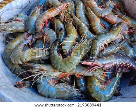 lots of tiger prawn in a pot for sale HD Royalty-Free Stock Photo #2193089441