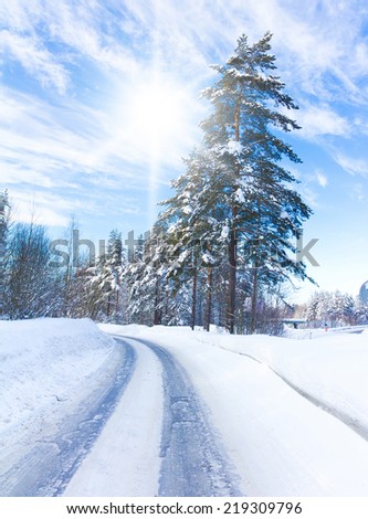 Beautiful Winter Landscape with snow covered trees 