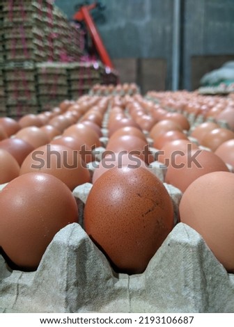picture of a raw egg