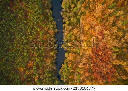 Colourful autumn colours in forest form above, captured with a drone.