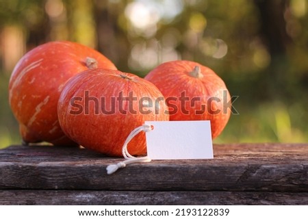Mock up tag and pumpkin. Place for text. Thanksgiving and Halloween postcard template.