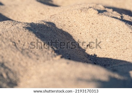 Beach sand background in the foreground with its grainy texture and a golden color.