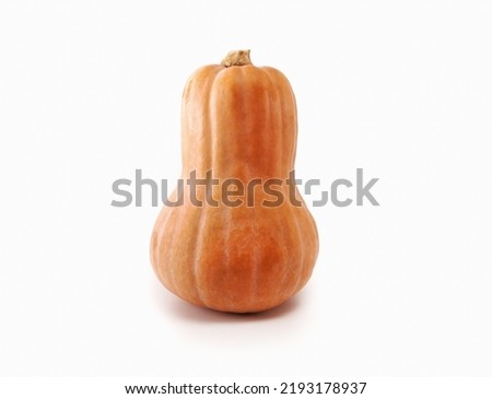 Pumpkin in the form of a guitar on a white isolated background. Pumpkin - butternut. One ripe pineapple squash.