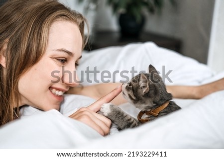 Cat Adoption, Adopt kitten from rescues and shelters. Rehome a Cat. Portrait of woman playing with outbred homeless adopted grey kitten Royalty-Free Stock Photo #2193229411