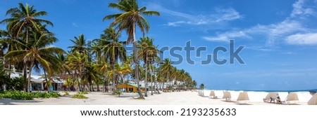 Playa Spratt Bight beach travel with palms palm panorama vacation sea on island San Andres in Colombia Royalty-Free Stock Photo #2193235633