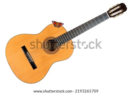 Classical acoustic six-string guitar isolated on white background . A beautiful butterfly sits on a guitar