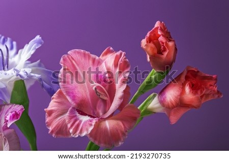 beautiful bouquet of summer flowers on a bright background