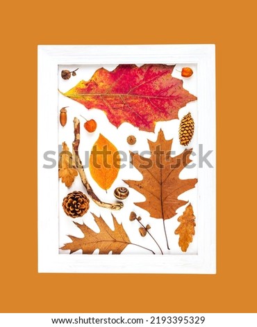 autumn composition of dry leaves in a white picture frame isolated on an orange background top view