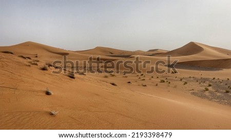 Sand dunes in the Arabian Empty Quarter desert between Oman and KSA countries. Royalty-Free Stock Photo #2193398479