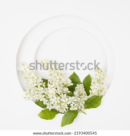 White round blank arch for text mockup with white bird cherry flowers, green leaves on white background, square. Wedding floral background for   advertising, branding identity, greeting card.
