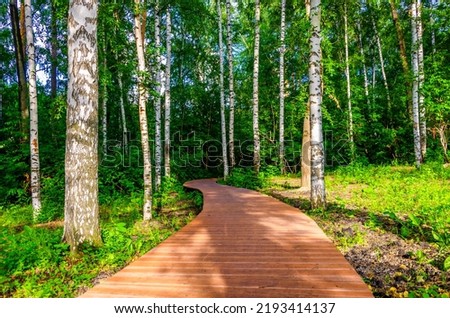 A path made of wooden planks is a passage through the forest. Royalty-Free Stock Photo #2193414137