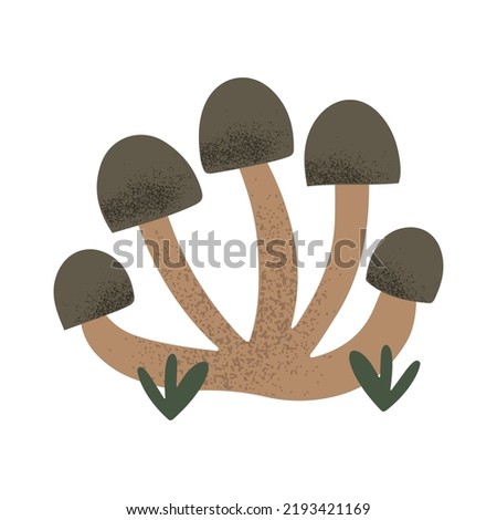 Hand drawn bunch of edible shimeji mushrooms, isolated on white vector illustration