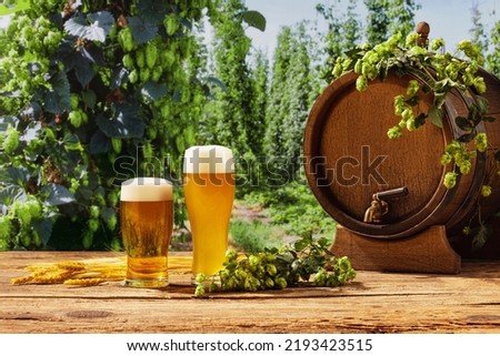 Composition with beer barrel and beer glasses with wheat and hops on wooden table over hop gardens and nature landscape background. Oktoberfest, drinks, tastes concept