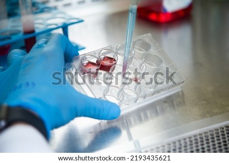 cell culture experiments at cell culture laboratory  Royalty-Free Stock Photo #2193435621