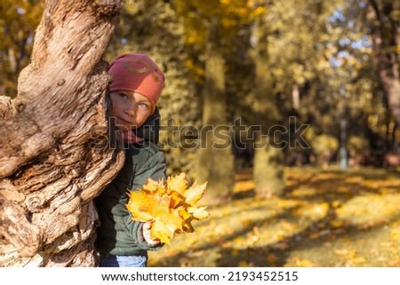 Child girl with a bouquet of leaves hides behind a tree in the park