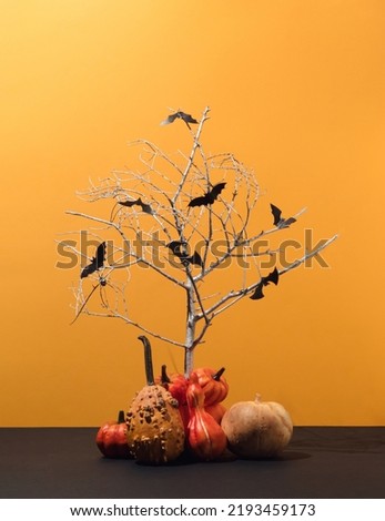 Autumn composition made of bats silhouettes on silver tree and various pumpkins. Creative Halloween surreal concept