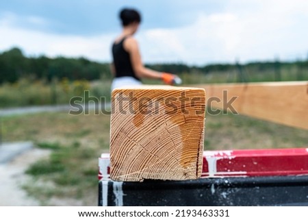 The woman impregnates raw planed wooden pine beams with dimensions of 100x100mm with a colorless impregnation. Royalty-Free Stock Photo #2193463331