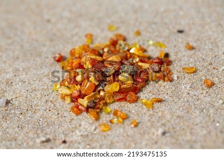 pieces of amber (Lithuanian gold) lying on beach