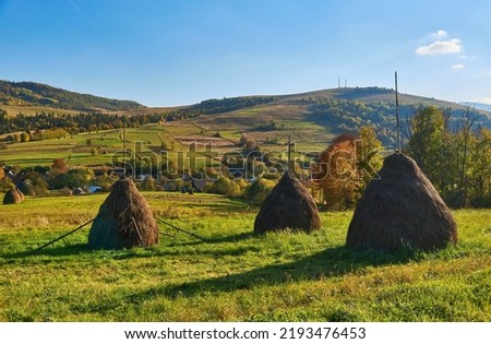 Autumn landscape, haystacks on the pasture, view of mountains. The Carpathians.