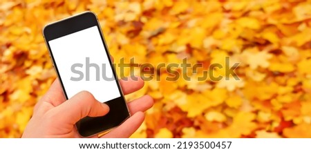 Fallen leaves autumn mobile phone mockup hand holding smartphone nature fall background leaves falling. Blank mobile mockup smartphone blank screen hand phone nature autumn banner. Screen mobile hand