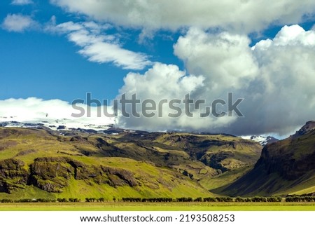 wild volcanic landscape overgrown with moss in Iceland in summer