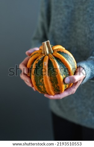 Women's hands hold a bright orange and green pumpkin.