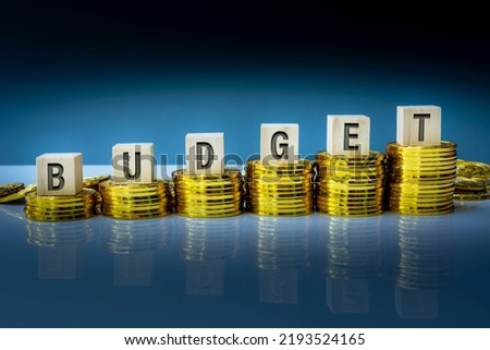 Budget text on wooden block with a pile of gold coins. Business and finance concept.