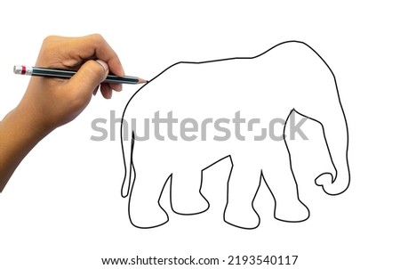 Close-up of a student using a pencil to practice drawing elephant animal on white paper. educational concept
