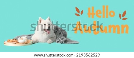 Cute Samoyed dog with warm plaid, breakfast and text HELLO, AUTUMN on turquoise background