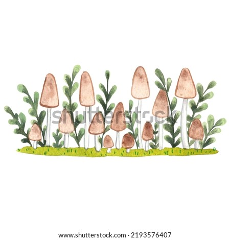 Honey fungus with fern on grass floor border watercolor illustration for decoration on organic food and farm lifestyle.