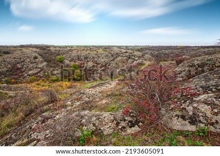 A large number of stone minerals covered with green vegetation lying above a small river in picturesque Ukraine and its beautiful nature. High quality photo