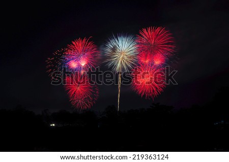 Fireworks to celebrate in the night sky 